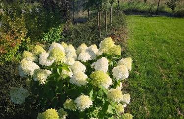 Dom z widokiem na góry - Foto 14