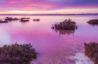 Casa Mi Madre, cozy apartment, sunny roof terrace and sea view - Foto 30