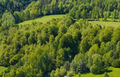 Antkowe Wzgórze - Foto 14