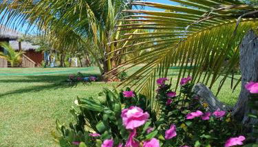 Ventos do Delta Kite Chalés - Foto 4, Garden