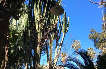 Villino with Garden - Photo 48