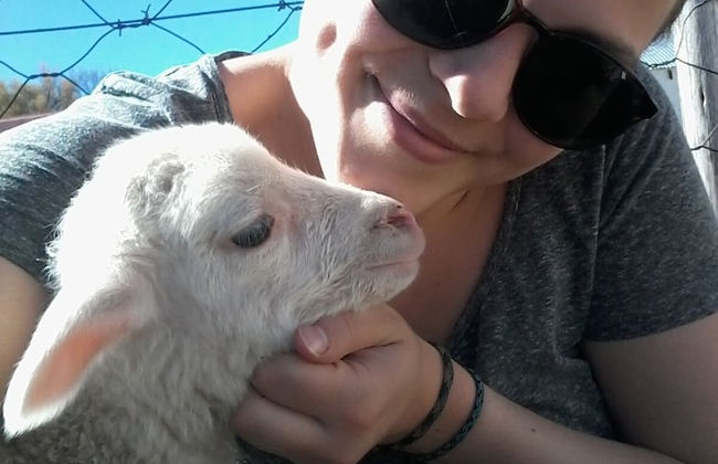 Ganora Guestfarm & Excursions - Foto 36