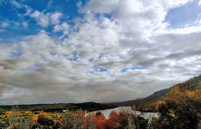 VilaPortuguesa - Foto 24