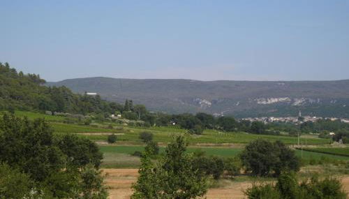 Les Oliviers - Foto 2