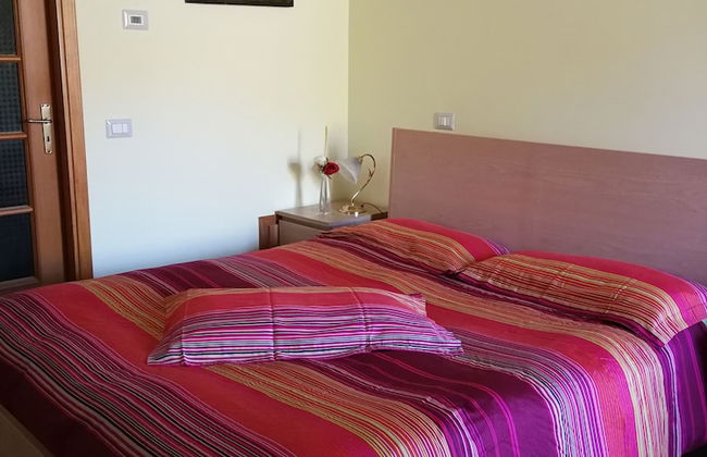 Viola nel Parco - Foto 34