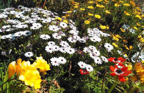 Casa Champasak - Foto 60