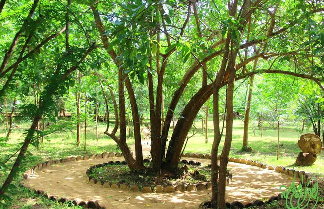 Beddegama Eco - Photo 34