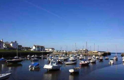 Quirky Cottage with Private Garden Nr New Quay Cardigan Bay - Photo 30