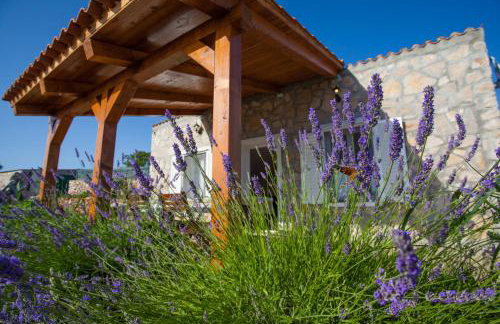 Krcina Holiday Home - Photo 27