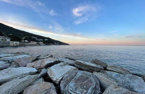 Erbalunga - Résidence Les Bosquets - Cap corse Location - Foto 35