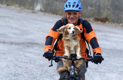 Hotel Residence Margherita - Foto 38