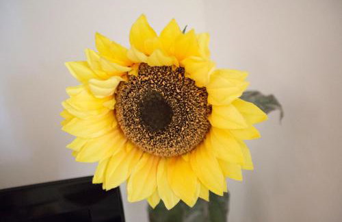 Apartments Casa Saina - Foto 32