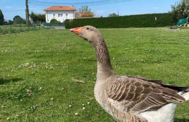 Casa Terán - Foto 32