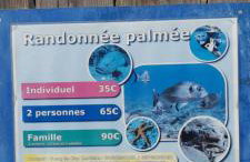 Vue mer, crique de Peyrefite, Cerbère-Banyuls. - Foto 23