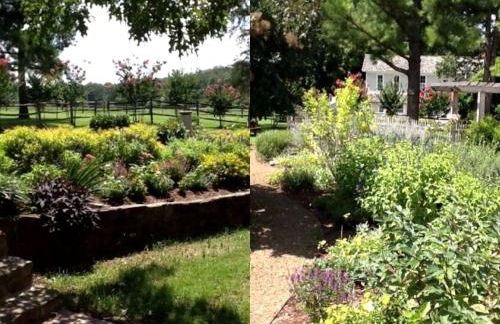 Secluded Country Cabin Rental with Beautiful Garden Space near Fayetteville, Arkansas - Foto 10