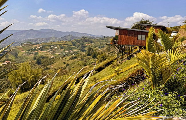 San Simon Glamping - Photo 32