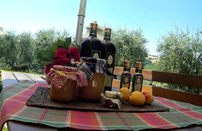 Agriturismo Le Dolci Colline - Photo 27