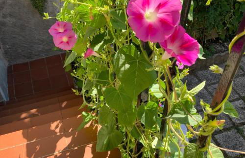 Bellano Cottage - With Private Garden and Garage - Foto 35