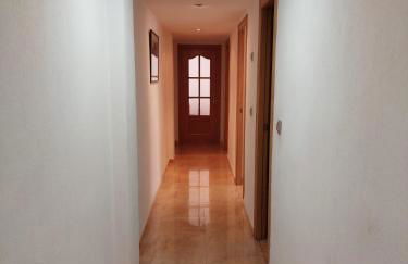 Apartamento en Alicante, Plaza de España, zona Mercado, AA - Photo 50