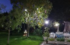 Casa Vacanze Oasi Felicita - Foto 60