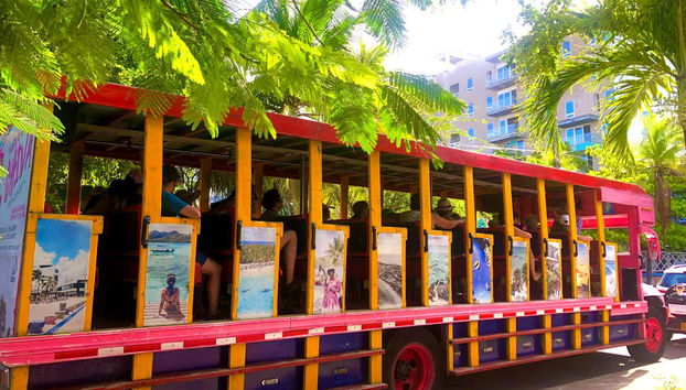 Los colores de la chiva rumbera