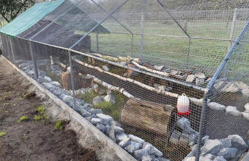 Ferienwohnung auf dem Bauernhof - Foto 13