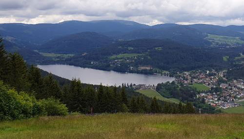Oskar im Bärenhüsli - Foto 3
