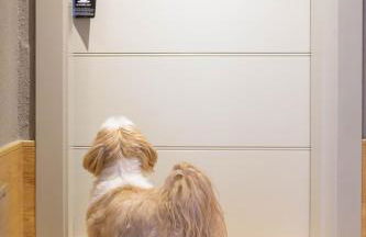 Radisson Residences Savoia Palace Cortina d’Ampezzo - Foto 53