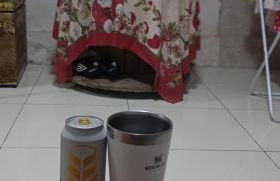 Pousada da santinha - Foto 1