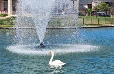 Luxury Lakefront 4BR - Corporate & Extended Stay Friendly - Foto 1