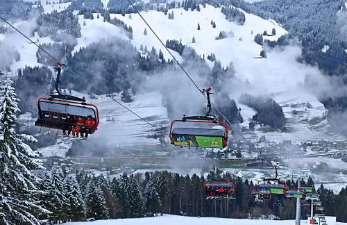 "Löwenzahn", Oberstaufen-Wiedemannsdorf - Foto 15