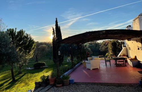 Courela do Monte Novo - Photo 24