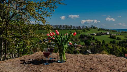 Dom z bali - Serafinówka - Foto 5, Garden