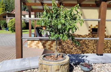 Ferienwohnung Bamberger mit Wintergarten Schmalkalden - Foto 26