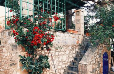 Veneto's Garden - Foto 15