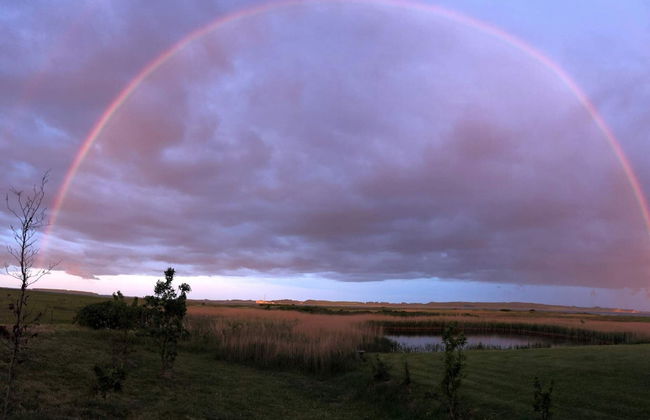 4 Person Holiday Home in Thisted-by Traum - Foto 26