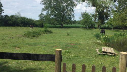 Bungalow 2 pièces, SDB, terrasse, Piscine de mai à octobre - Foto 2, Garden, Garden view