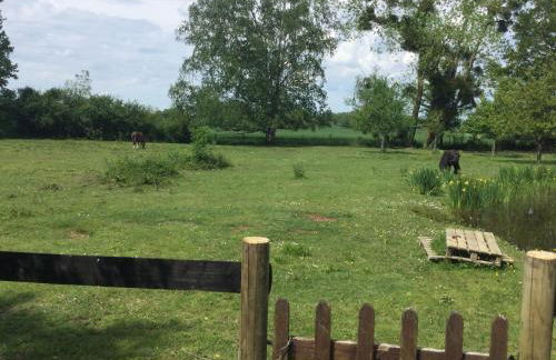 Bungalow 2 pièces, SDB, terrasse, Piscine de mai à octobre - Foto 2