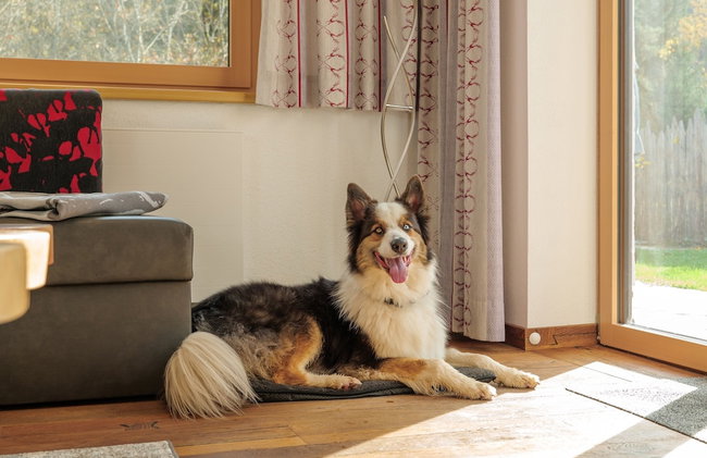 Viktoria Lodges - Foto 5