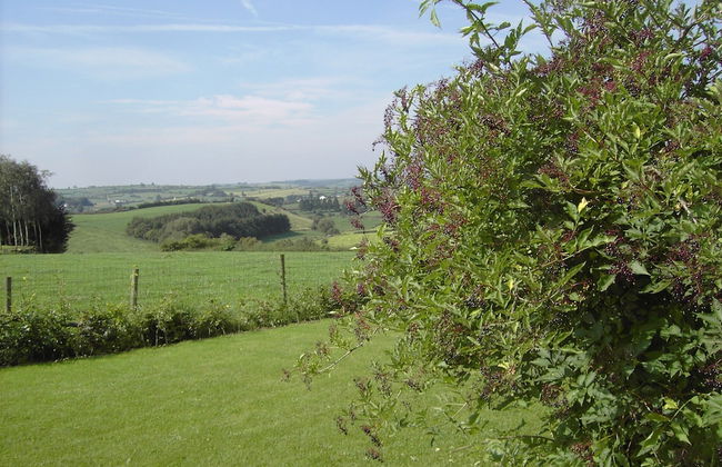 Group House With 3 Apartment for Family - Foto 32