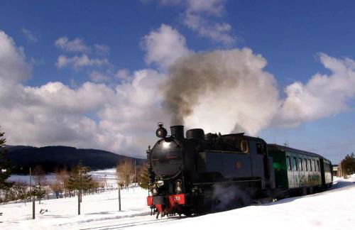 La Mia Valigia “Casetta Fragolina” - Foto 35