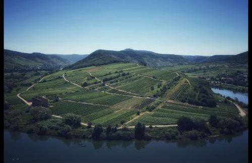 Gemütliches Apartment mit Moselblick - Foto 12