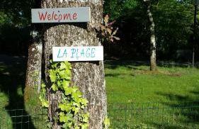 Salamandre et Hippocampe - Foto 30