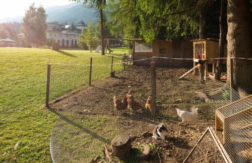 Apparthotel Germania - Foto 17