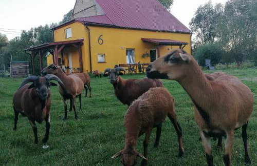 Haus 6 am Fluß - Foto 21