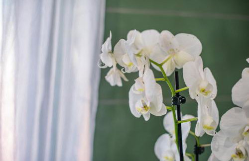 Paxos Fairytales House 2 - Foto 27