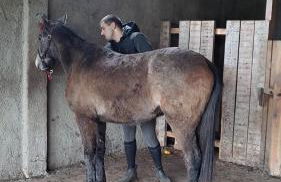 Casa da Avó do Puto - Foto 44