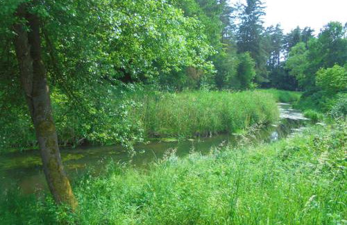 Dworek Świdwie, Górny Apartament & Harcówka - Foto 23