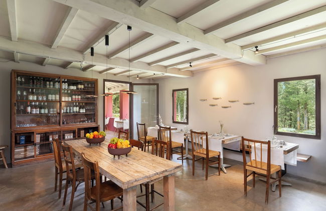 Podere Castellare - Foto 7