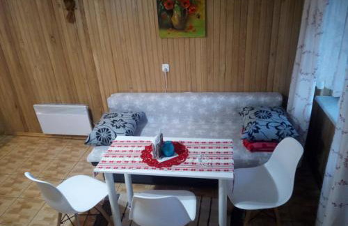 Domek Jancio Wodnik - Photo 31